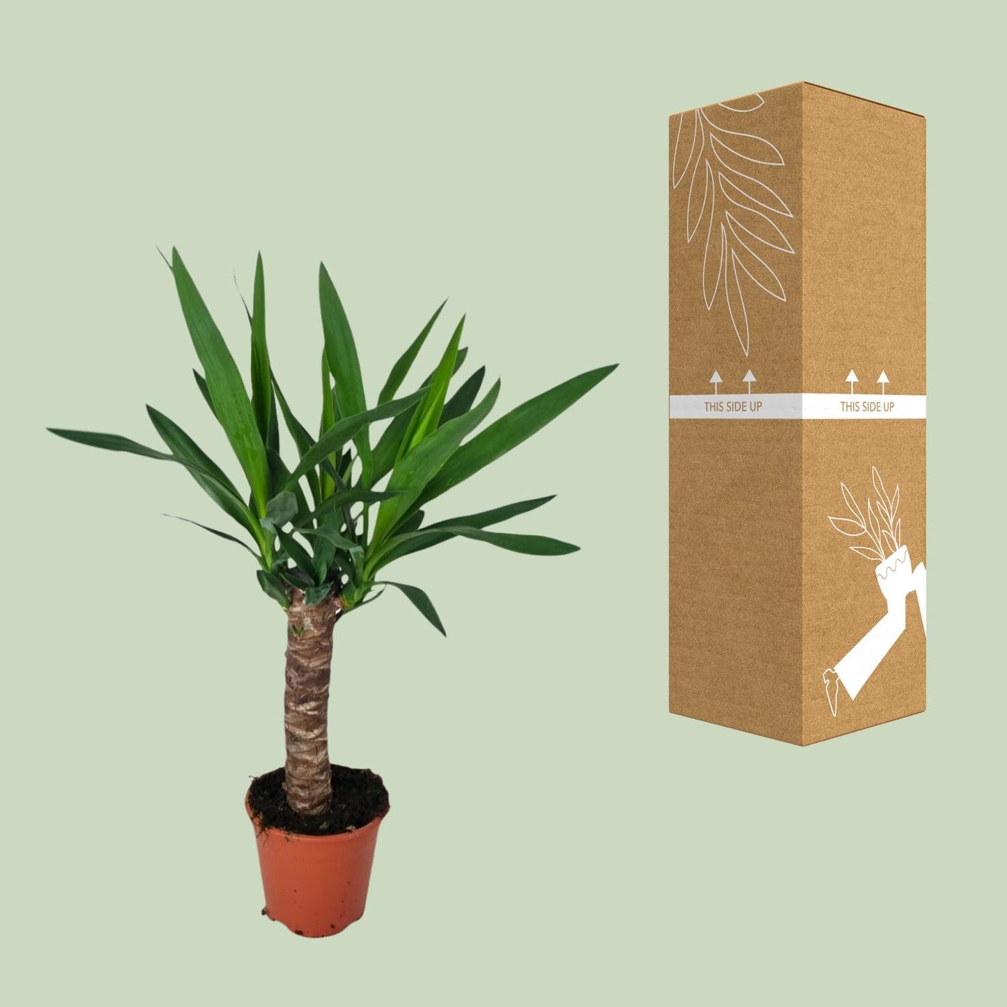 Juka - Ø14cm - ↕60cm