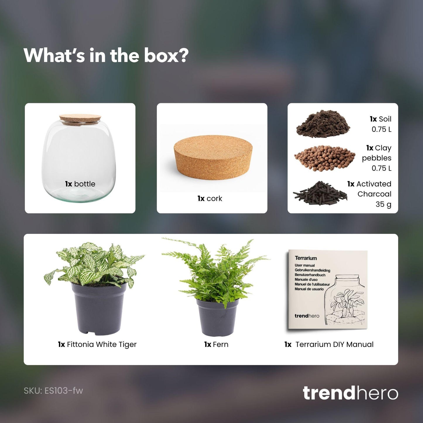 Biljni terarij – Emma Mini – DIY komplet – visina 20 cm – Ø 19 cm – Fittonia White Tiger
