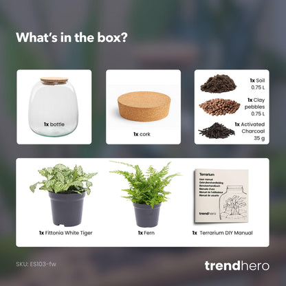 Biljni terarij – Emma Mini – DIY komplet – visina 20 cm – Ø 19 cm – Fittonia White Tiger
