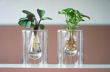 Božić | MIX In Sydney Staklo + LED - 1 štuk - Ø7cm - ↕20cm