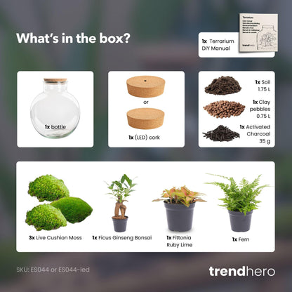 DIY Planten terrarium met licht - Bolder Bob Bonsai - Ø 31 cm ↑ 30 cm