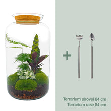 DIY Planten terrarium met licht - Sven XL Botanical - Ø 23 cm ↑ 43 cm - Rake + Shovel