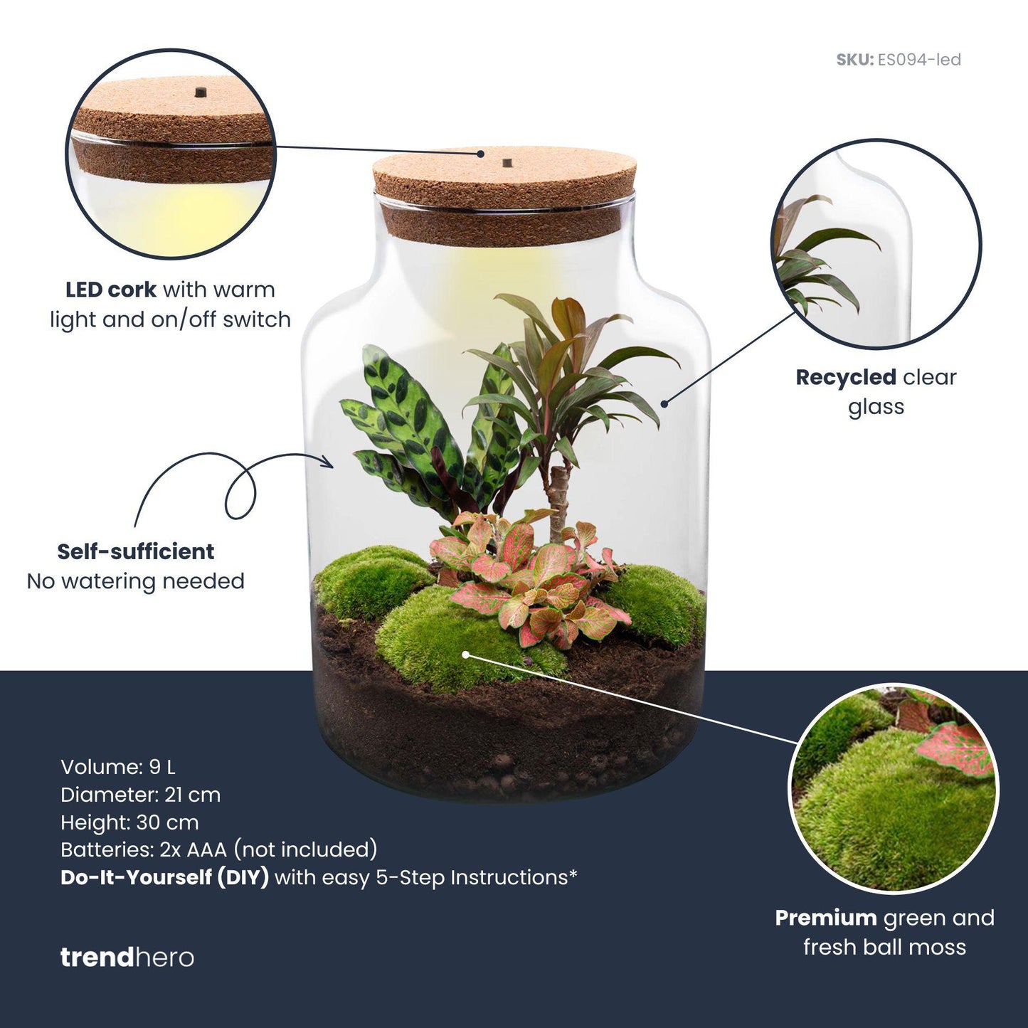 DIY Planten terrarium met licht - Milky Palm - Ø 21 cm ↑ 30 cm