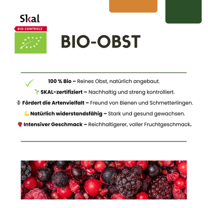 6 x Biologische bramenplanten - Ø 13 cm - ↨ 20 cm
