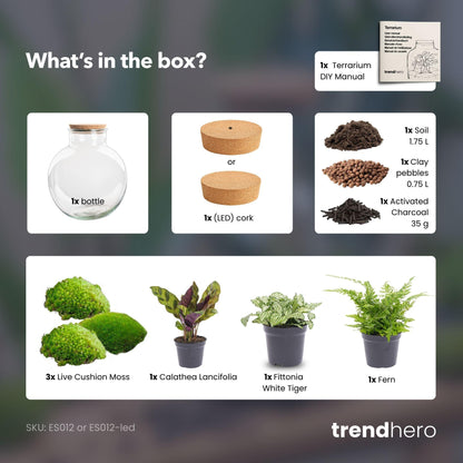 DIY biljni terarij (s rasvjetom) – Bolder Bob – Ø 31 cm, visina 30 cm – Bez alata
