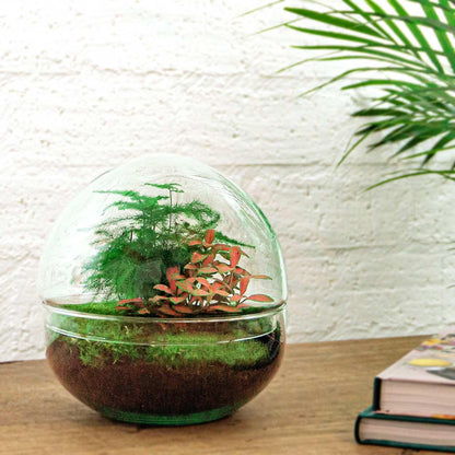 DIY Planten terrarium tweedelig bolglas - Dome Red - Ø 20 cm ↑ 20 cm - Grablje + lopata + pinceta + škare