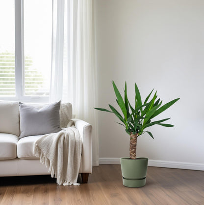 Juka - Ø14cm - ↕60cm