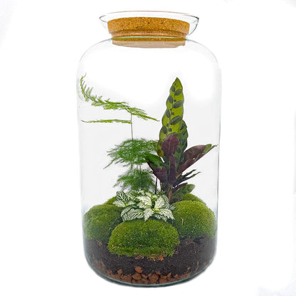 DIY Planten terrarium met licht - Sven XL Botanical - Ø 23 cm ↑ 43 cm - Rake + Shovel