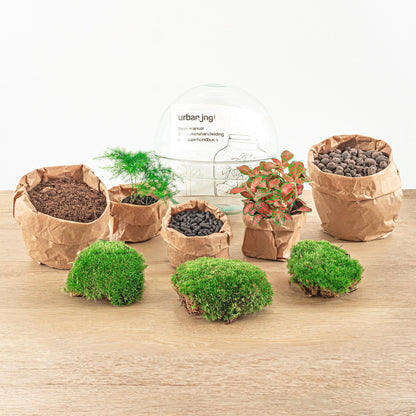 DIY Planten terrarium tweedelig bolglas - Dome Red - Ø 20 cm ↑ 20 cm - Grablje + lopata + pinceta + škare