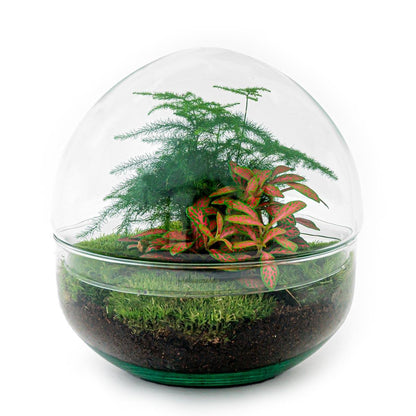 DIY Planten terrarium tweedelig bolglas - Dome Red - Ø 20 cm ↑ 20 cm - Grablje + lopata + pinceta + škare
