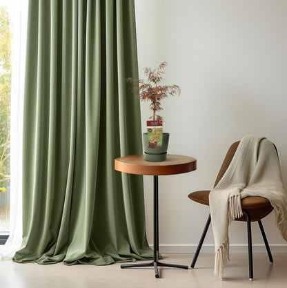 Acer palma. 'Garnet' - Ø19cm - ↕40cm