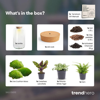 DIY biljni terarij s rasvjetom – Sven XL Botanical – Ø 23 cm, visina 43 cm – Bez alata
